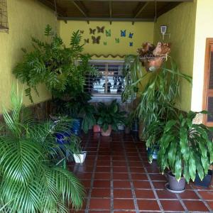 1ra Calle casa numero 3, Naguanagua, Carabobo 00001, 委內瑞拉