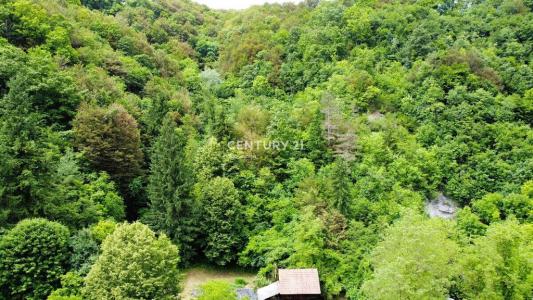 Brežice, Slovenska Vas, Brežice, Spodnjeposavska 8261, Slovenia