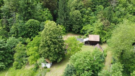 Brežice, Slovenska Vas, Brežice, Spodnjeposavska 8261, Slovenia