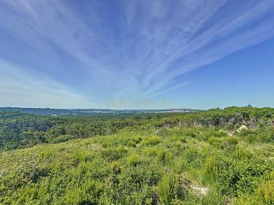 Nazaré, レイリア 2450-027, ポルトガル