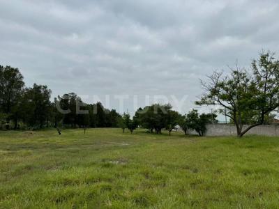 Irapuato, Guanajuato 36815, Mexico