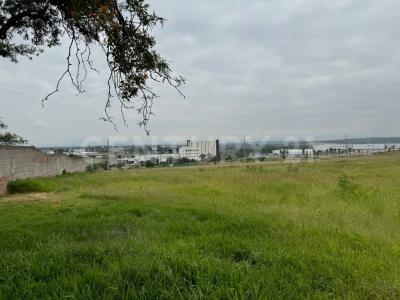 Irapuato, גואנחואטו 36815, מקסיקו