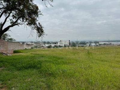 Irapuato, גואנחואטו 36815, מקסיקו