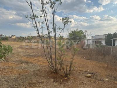 San Andrés Huayapam, Oaxaca 68287, México