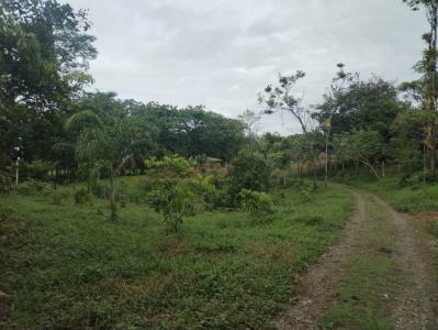 Quepos Quepos, Puntarenas 60601, Costa Rica