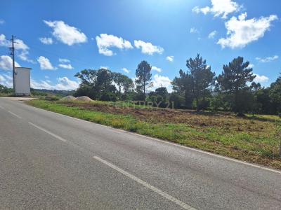 Alcobaça, Leiria 2460-089, Portugal