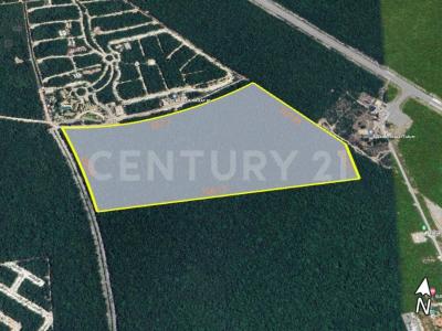 Carretera Federal Tulum Playa del Carmen S/N,, Tulum, Quintana Roo 77780, Mexico