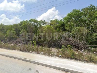 Carretera Federal Tulum Playa del Carmen S/N,, Tulum, Quintana Roo 77780, México