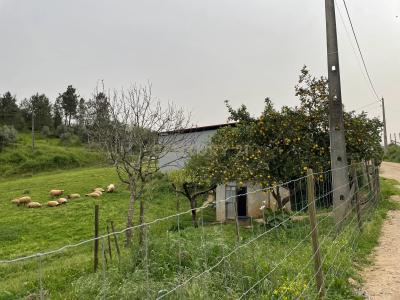 Abrantes, Santarém 2200-634, Portugal