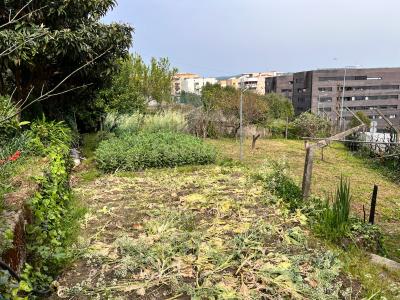 Vila Real, Vila Real 5000-046, Portugal