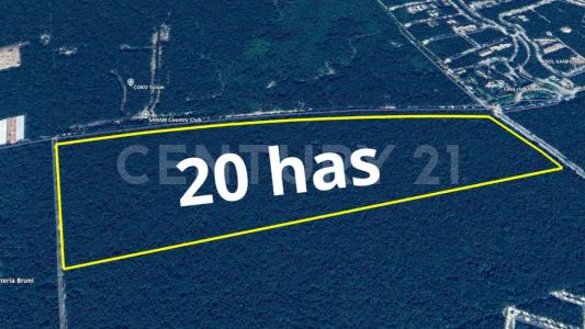 Vialidad en proyecto SN,, Tulum, Quintana Roo 77760, Mexico