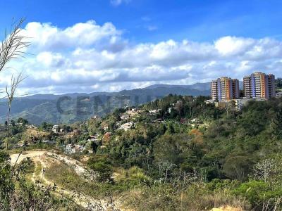 Sector La Loma, Carretera La Unión vía Corralito Terreno, Caracas, Miranda 1083, 委内瑞拉