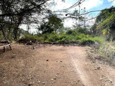 Sector La Loma, Carretera La Unión vía Corralito Terreno, Caracas, Miranda 1083, Venezuela