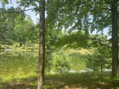 12004 Buchanan Rd, Canadian Lakes, Michigan 49346, USA