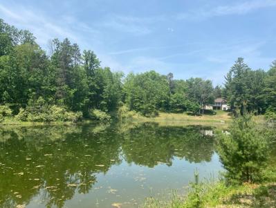 12004 Buchanan Rd, Canadian Lakes, Michigan 49346, USA