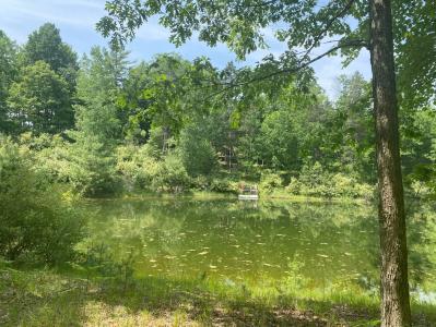 12004 Buchanan Rd, Canadian Lakes, Michigan 49346, USA