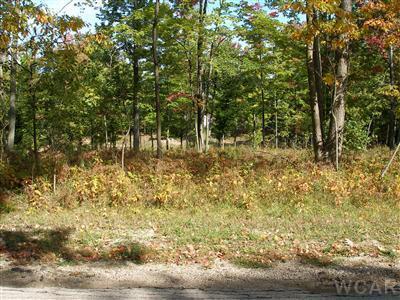 12004 Buchanan Rd, Canadian Lakes, Michigan 49346, USA