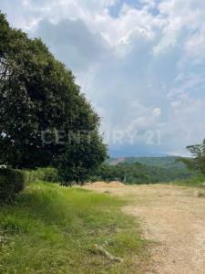 Melgar, Tolima 7340, Colombia
