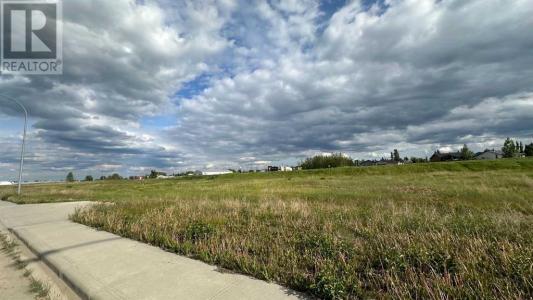 500600 SHANTZ DRIVE, Didsbury, Альберта T0M 0W0, Канада