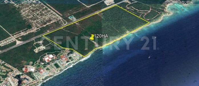Solidaridad / Riviera Maya, Quintana Roo 77719, Mexico