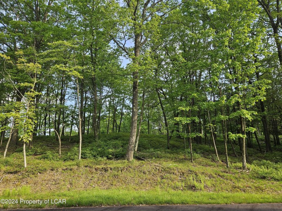 Timothy Drive, East Union Township, Pennsylvanie 17985, États-Unis