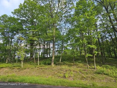 Timothy Drive, East Union Township, Pennsylvanie 17985, États-Unis
