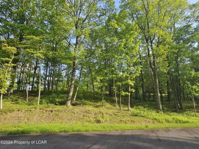 Timothy Drive, East Union Township, Pennsylvanie 17985, États-Unis