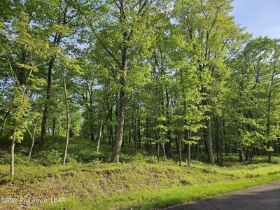Timothy Drive, East Union Township, Pennsylvanie 17985, États-Unis