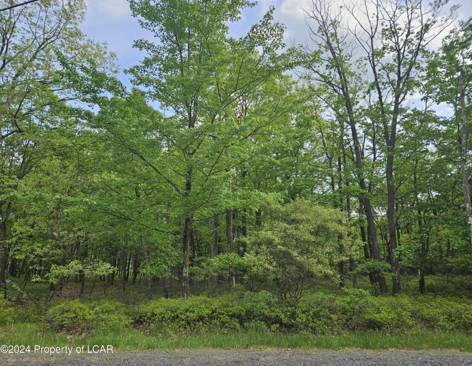 428 Turnberry Lane, Hazle Twp, Pensilvania 18202, Estados Unidos