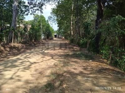 San Martín, San Martín 00001, ペルー