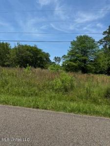 23402 Arcadia Farm Road, Pass Christian, ميسيسيبي 39571, الولايات المتحدة