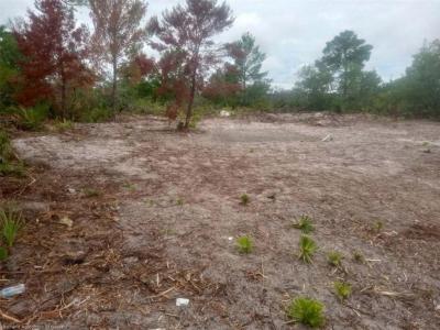 444 Nichele Boulevard, Lake Placid, Floride 33852, États-Unis