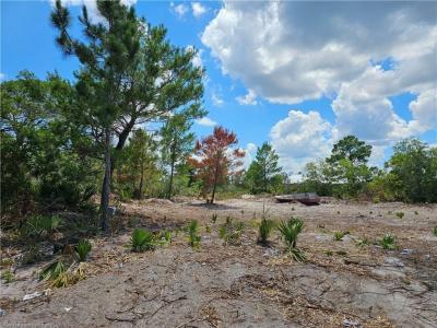 444 Nichele Boulevard, Lake Placid, Floride 33852, États-Unis