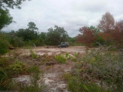 444 Nichele Boulevard, Lake Placid, Floride 33852, États-Unis