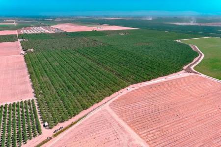 White Crane Road, Atwater, 加利福尼亚州 95301, 美国