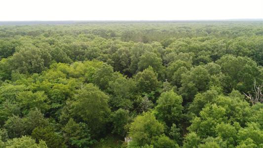 0000 FM 1699, Clarksville, Texas 75426, Estados Unidos