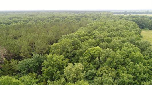0000 FM 1699, Clarksville, Texas 75426, Estados Unidos