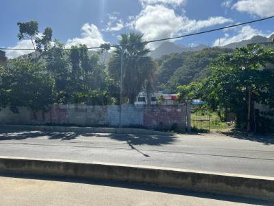 Macuto, La Guaira 00001, Wenezuela