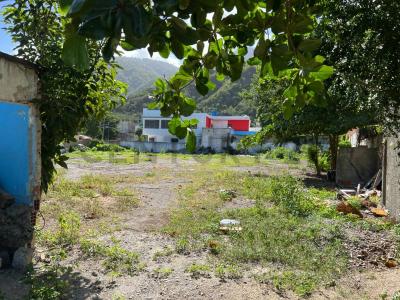 Macuto, La Guaira 00001, Wenezuela