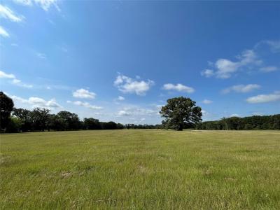 Lot 5 Rains County Road 2420, Alba, Texas 75410, Estados Unidos