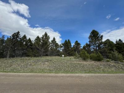 704 Flint View Road, Deer Lodge, 蒙大拿州 59722, 美國