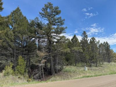 704 Flint View Road, Deer Lodge, 蒙大拿州 59722, 美國