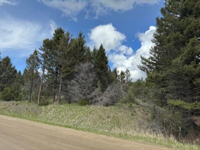 704 Flint View Road, Deer Lodge, 蒙大拿州 59722, 美國