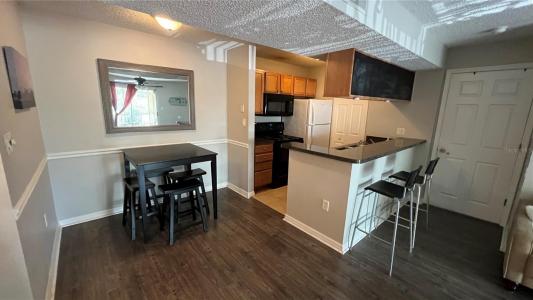 703 PARSONS LAKE PATH 201, BRANDON, Flórida 33511, Estados Unidos
