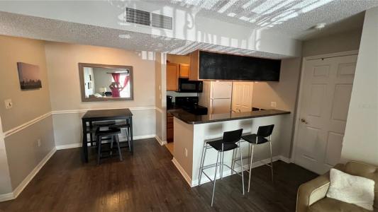 703 PARSONS LAKE PATH 201, BRANDON, Flórida 33511, Estados Unidos