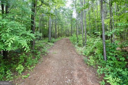 207 River Overlook, Forsyth, Georgia 31029, Amerika Birleşik Devletleri