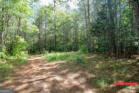 207 River Overlook, Forsyth, Georgia 31029, Amerika Birleşik Devletleri