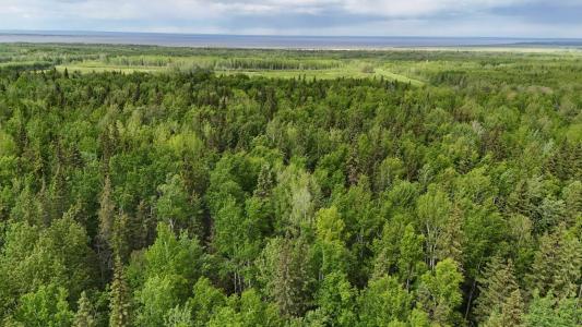 5;11;73;2;SE RANGE RD 112, Faust, Alberta T0G 0X0, Canada