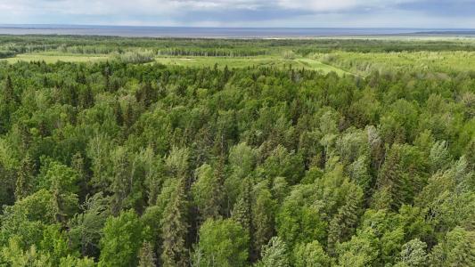 5;11;73;2;SE RANGE RD 112, Faust, Alberta T0G 0X0, Canada