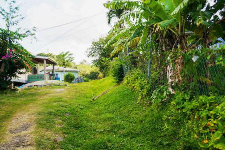 Chantimelle Gardens, Chantimelle, St.Patrick West Indies, Grenada